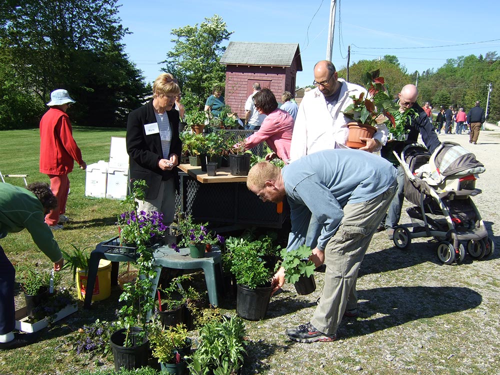 The Club’s annual Gardeners Sale draws customers from far and near.